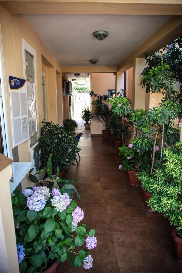 Apartment Stari Ribar *