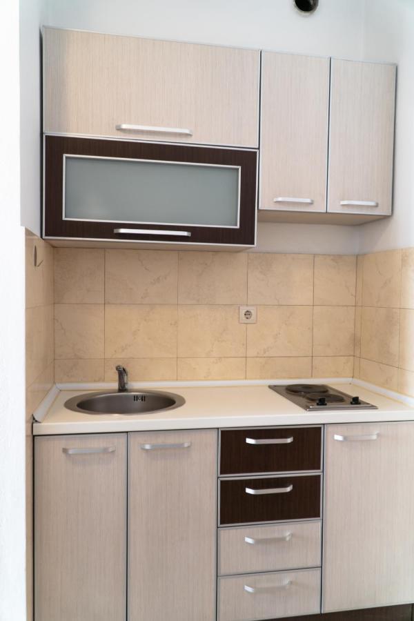 Stari Ribar Apartment *